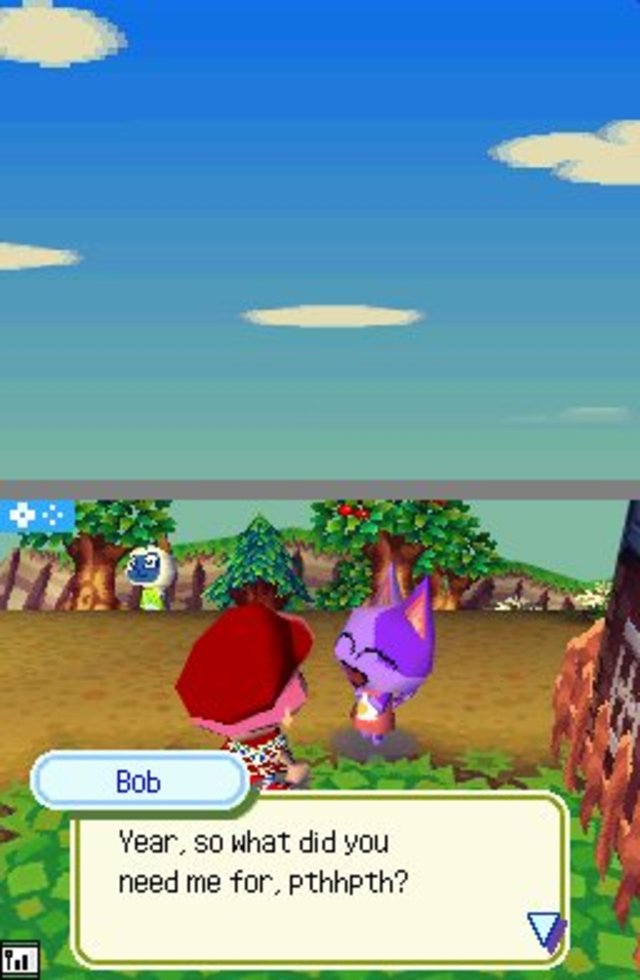 Animal crossing rom. Animal Crossing Nintendo DS. Animal Crossing Wild World. Animal Crossing Wild World DS. Wild World игра.